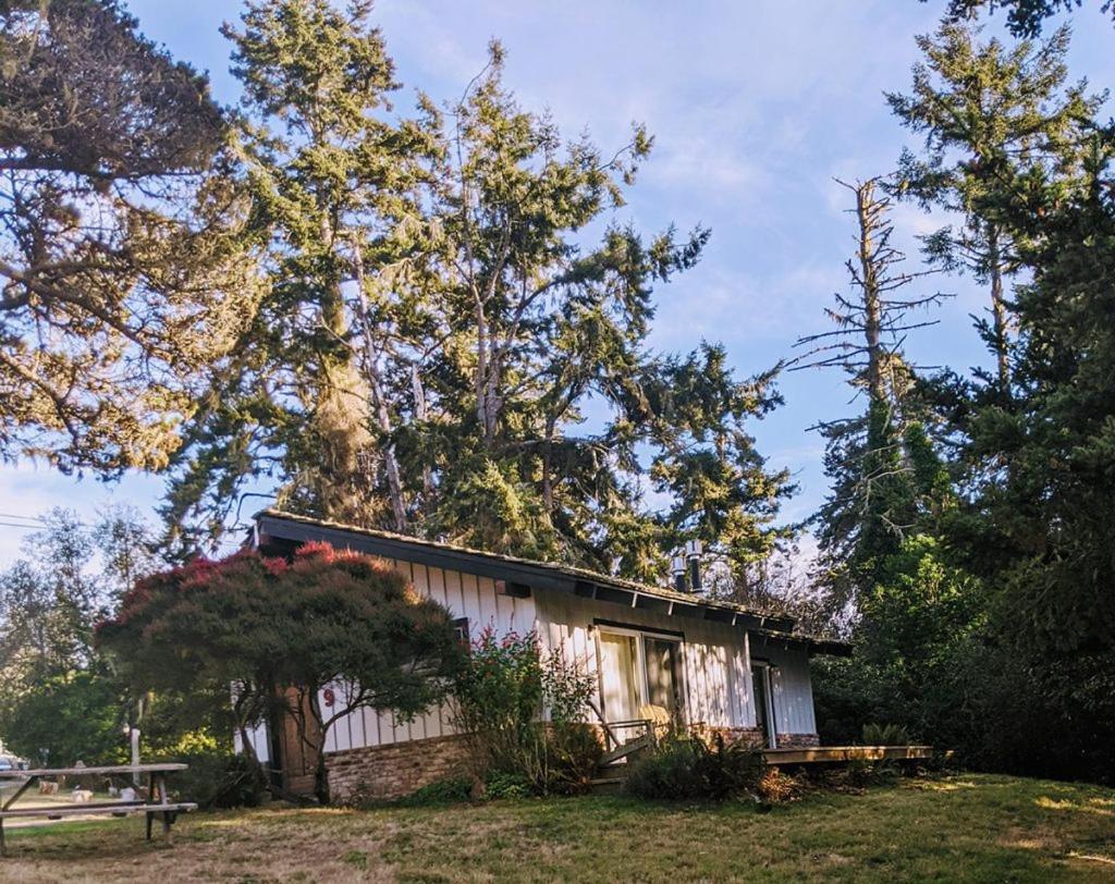 The Andiron Seaside Inn & Cabins Little River Extérieur photo